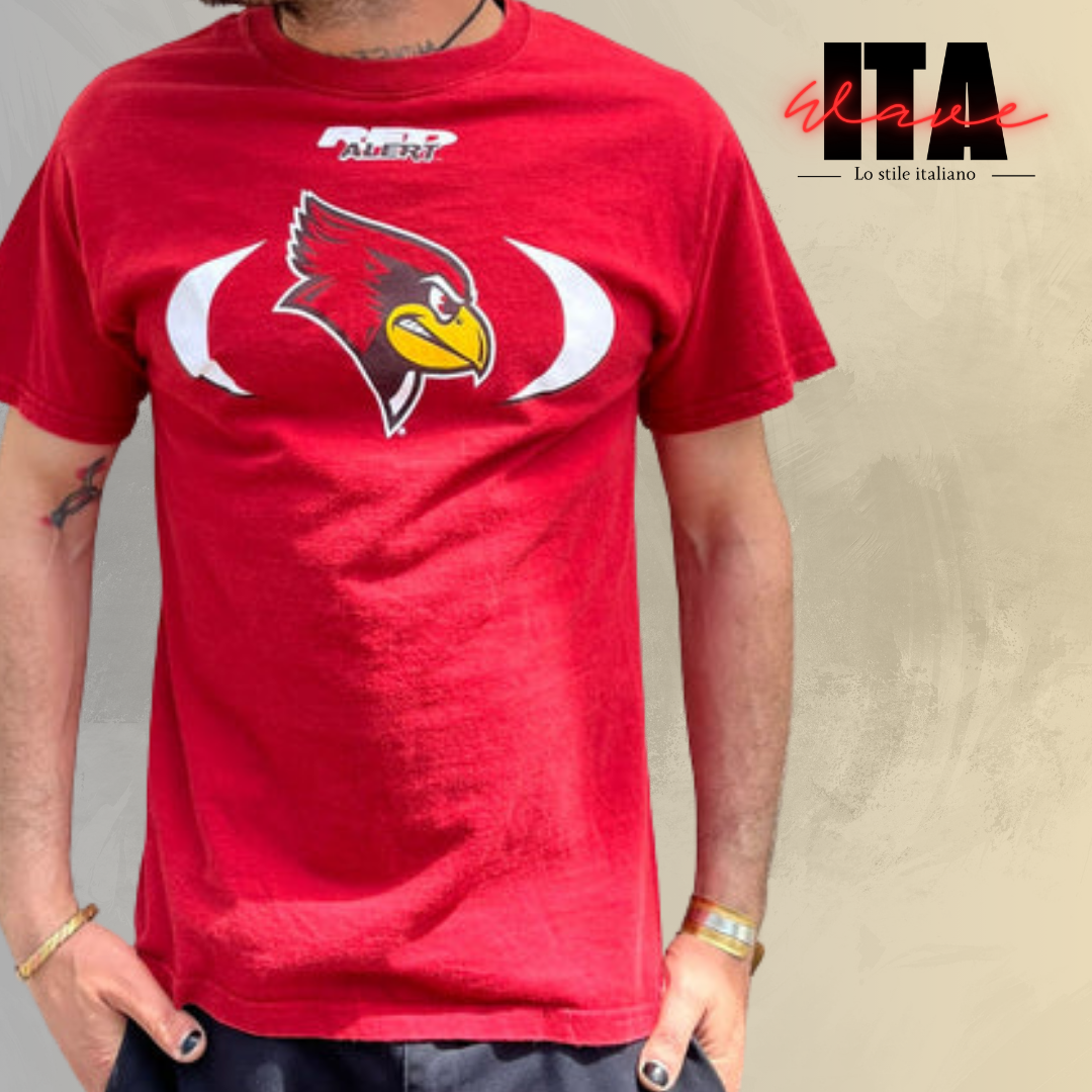 T-shirt Sportwear USA / Team / Street